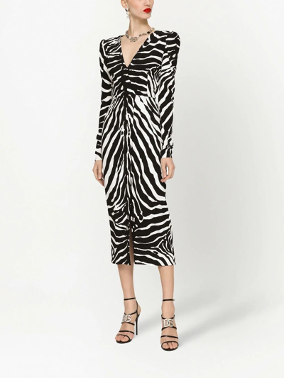 Dolce & Gabbana Ruched Zebra-print Crepe Midi Dress In Black