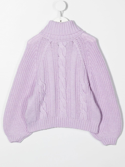 Shop Emporio Armani Cable-knit Roll-neck Jumper In Purple