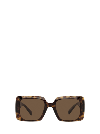 Shop Versace Ve4405 Havana Sunglasses