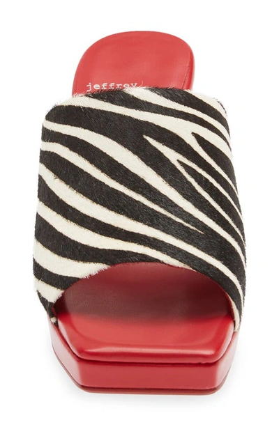 Shop Jeffrey Campbell Caviar Genuine Calf Hair Slide Sandal In Black White Zebra Red