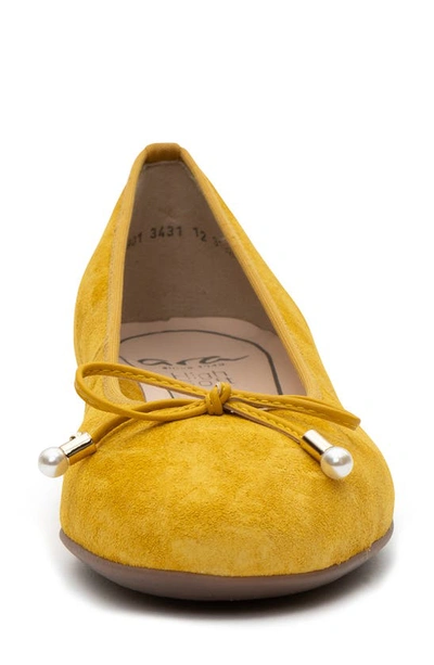 Ara Scout Flat In Sole Velour