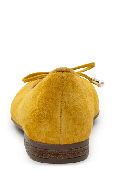 Ara Scout Flat In Sole Velour