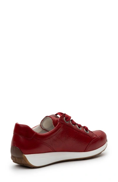 Ara Ollie Lace-up Sneaker In Red
