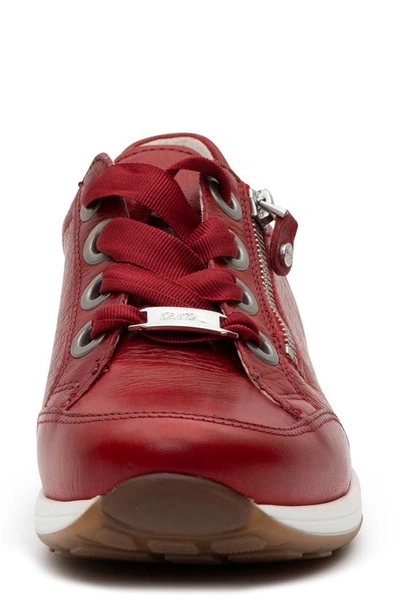 Ara Ollie Lace-up Sneaker In Red
