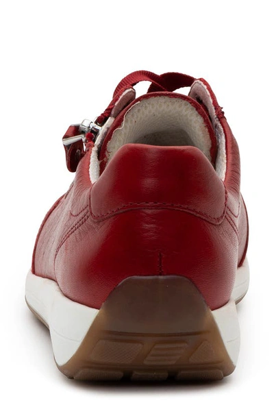 Ara Ollie Lace-up Sneaker In Red