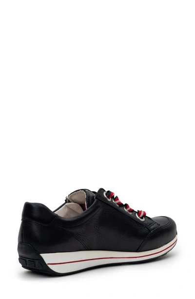 Ara Ollie Lace-up Sneaker In Navy