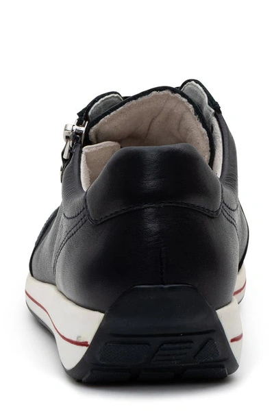 Ara Ollie Lace-up Sneaker In Navy