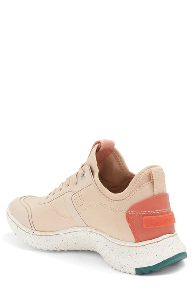 Shop Bionica Oakmere Sneaker In Cream
