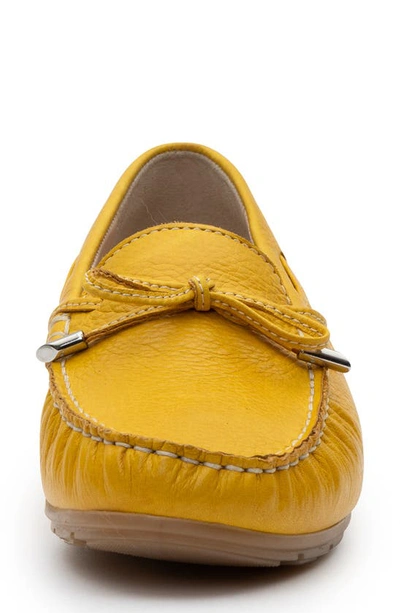 Shop Ara Amarillo Leather Driving Shoe In Sole Cervocalf