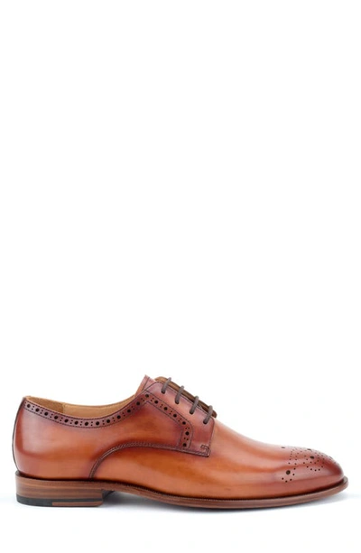 Warfield & Grand Cassette Medallion Toe Derby In Tan