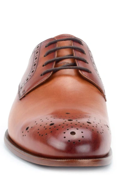 Warfield & Grand Cassette Medallion Toe Derby In Tan