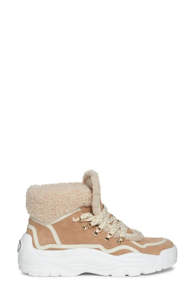 Shop Valentino Gumboy Wool Lined Sneaker In Camel Rose/ Light Ivory