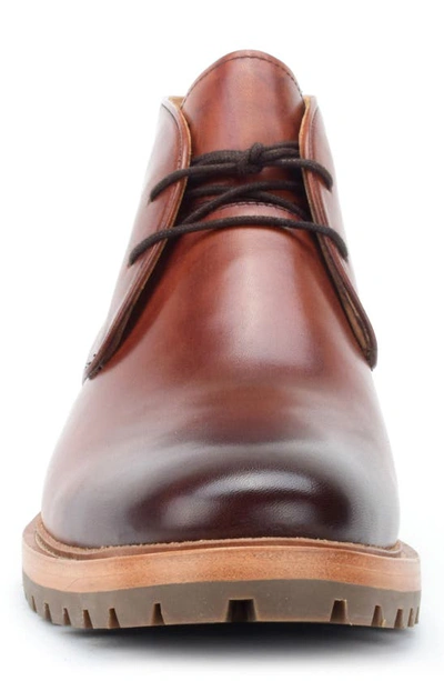 Shop Warfield & Grand Arlington Chukka Boot In Chestnut