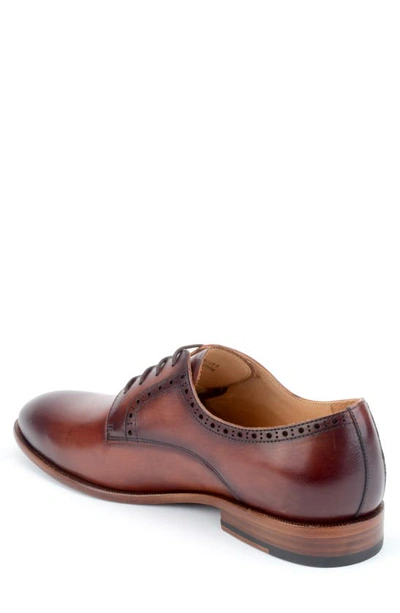 Warfield & Grand Keller Plain Toe Derby In Chestnut