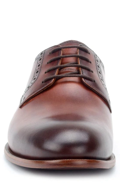 Warfield & Grand Keller Plain Toe Derby In Chestnut