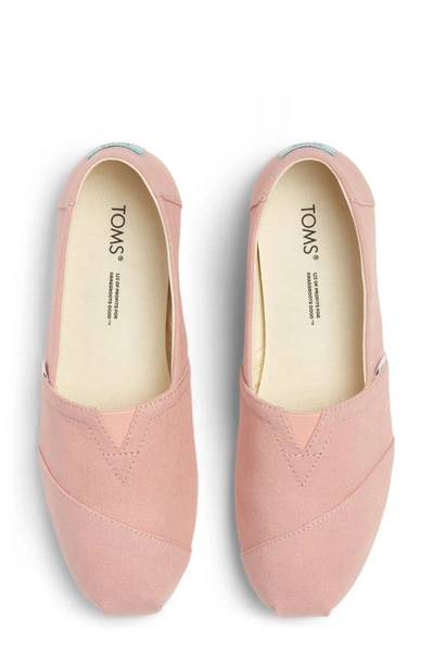 Shop Toms Alpargata Slip-on In Pink Sneaker