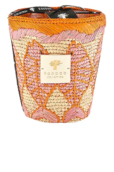 Shop Baobab Collection Vezo Candle In Andriva