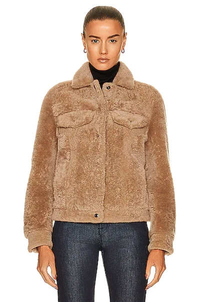 Shop Tom Ford Shearling Jacket In Nude