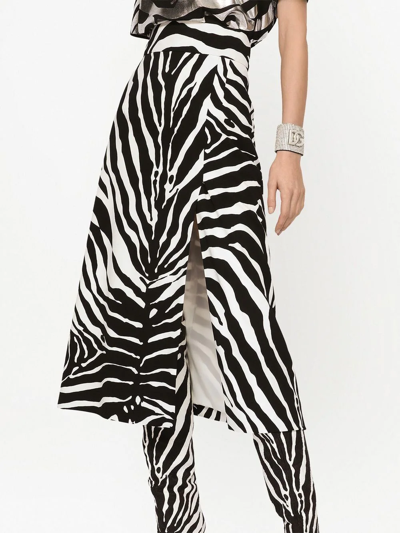 Shop Dolce & Gabbana Cady Zebra Print Midi Skirt In Black