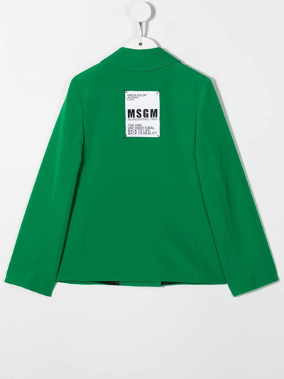 Shop Msgm Peak-lapels Double-breasted Blazer In Green