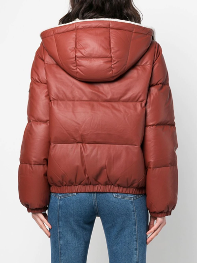 Yves Salomon Shearling-trim Hooded Down Jacket In Braun