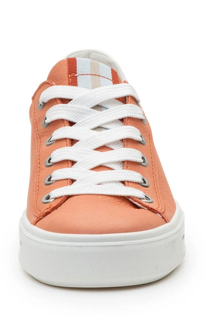 Shop Ara Camden Sneaker In Peach Cervocalf