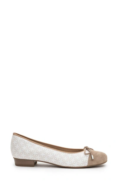 Shop Ara Belinda Ballet Flat In Sand Velour Multi Model