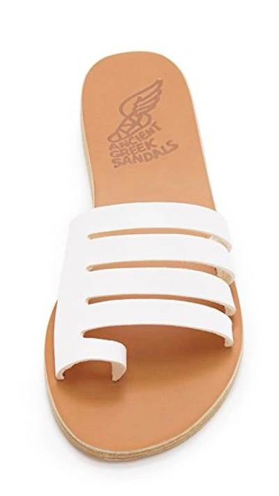 Shop Ancient Greek Sandals Agora Slides In White