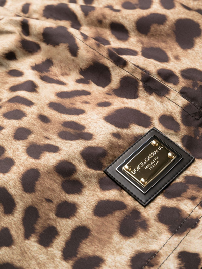 Shop Dolce & Gabbana Leopard-print Swim Shorts In Brown