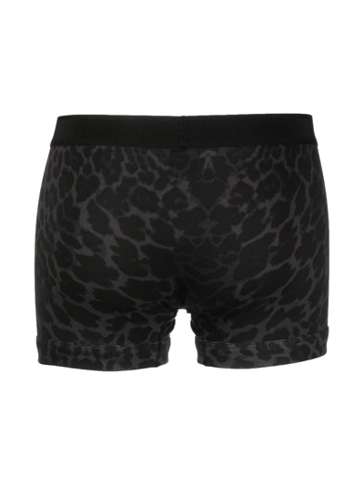 Shop Tom Ford Logo-waistband Leopard-print Boxers In Black