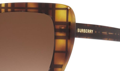 Shop Burberry 55mm Polarized Cat Eye Sunglasses In Top Check/ Havana Gradient