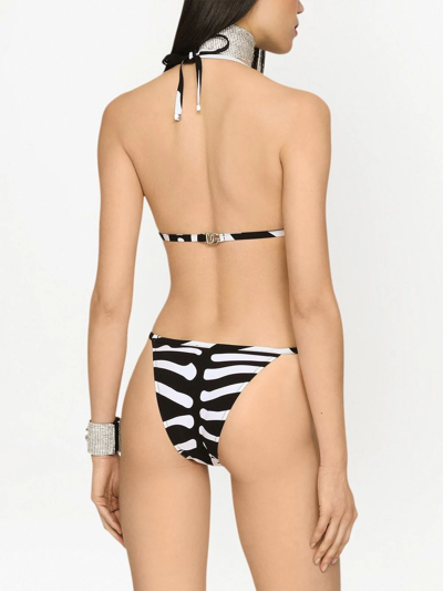 Shop Dolce & Gabbana Zebra Print Dg Logo Bikini In White