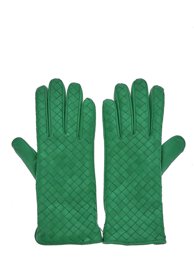 Shop Bottega Veneta Parakeet Gloves