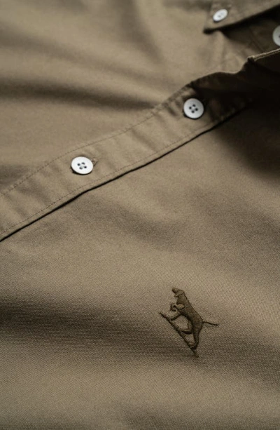 Shop Rodd & Gunn Gunn Oxford Cotton Button-down Shirt In Olive