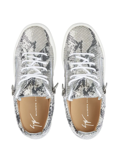 Shop Giuseppe Zanotti Gail Snakeskin-effect Low-top Sneakers In Grey