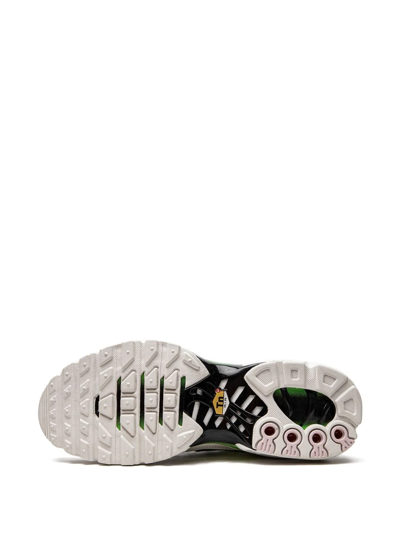 Nike Air Max Plus Low-top Sneakers In White