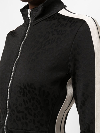 Shop Palm Angels Leopard Track Mini Dress In Black