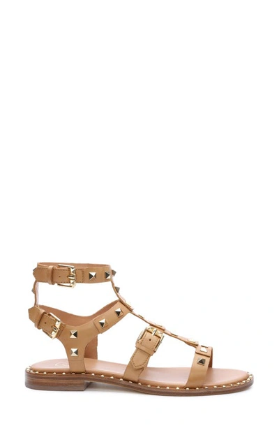 Shop Ash Pacific Studded Strappy Sandal In Nude