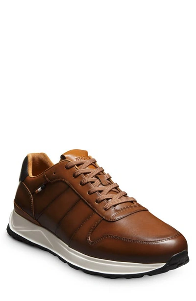 Shop Allen Edmonds Lawson Sneaker In Luggage