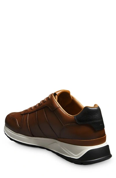 Shop Allen Edmonds Lawson Sneaker In Luggage