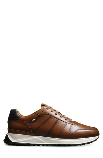 Allen Edmonds Lawson Sneaker In Luggage