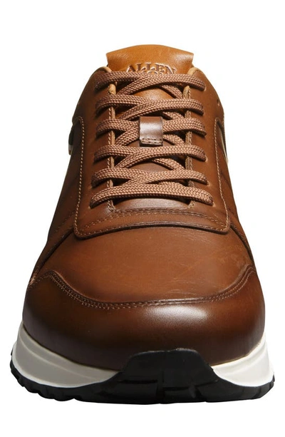 Shop Allen Edmonds Lawson Sneaker In Luggage