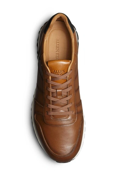 Shop Allen Edmonds Lawson Sneaker In Luggage