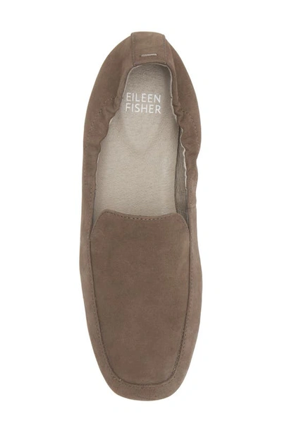 Shop Eileen Fisher Sim Suede Loafer In Rye