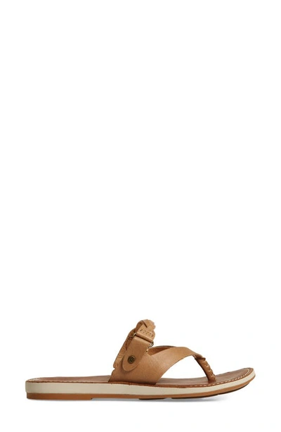 Shop Olukai Kahikolu Flip Flop In Sting/ Tan Leather