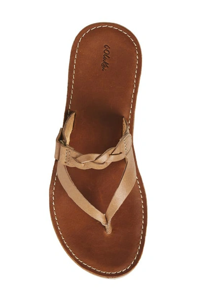 Shop Olukai Kahikolu Flip Flop In Sting/ Tan Leather