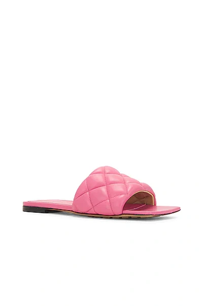 Bottega Veneta Flat Padded Sandals In Azalea