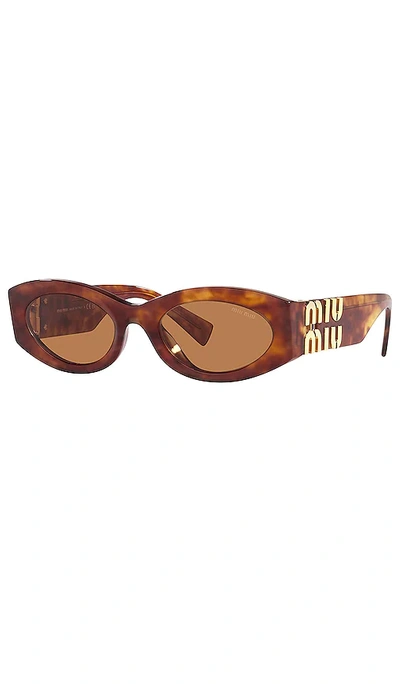 Shop Miu Miu Oval Sunglasses In Brown