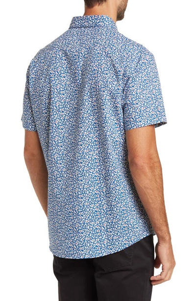 Shop Slate & Stone Floral Printed Short Sleeve Poplin Shirt In Blue White Mini Leaf