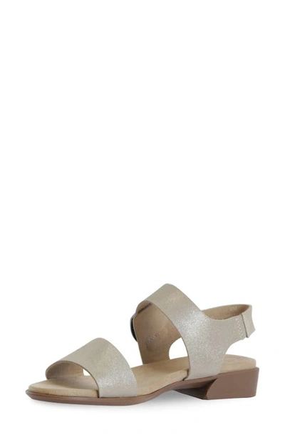 Shop Munro Cleo Sandal In Champagne Shimmer Suede
